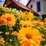 Linowo 10 Country House Holiday home