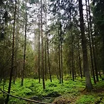 Linowo 10 Country House * Linowo (Goldap)