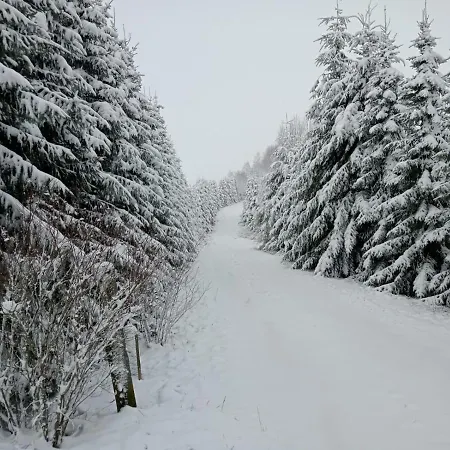 Linowo 10 Country House Holiday home *