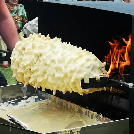 Linowo 10 Country House *