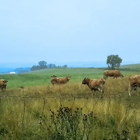 Linowo 10 Country House