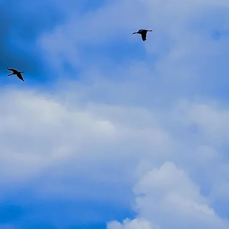 Linowo 10 Country House Дом отдыха