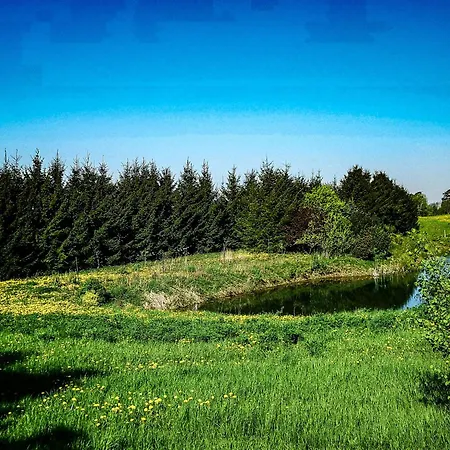 Linowo 10 Country House *