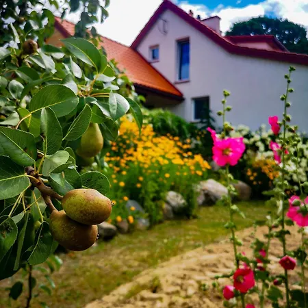 펜션 Linowo 10 Country House *