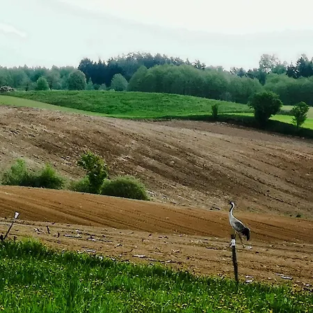 Linowo 10 Country House Linowo (Goldap)