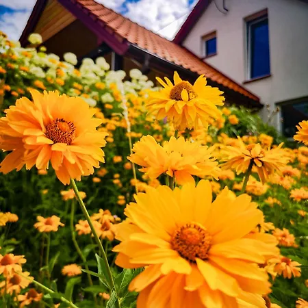 Linowo 10 Country House Дом отдыха