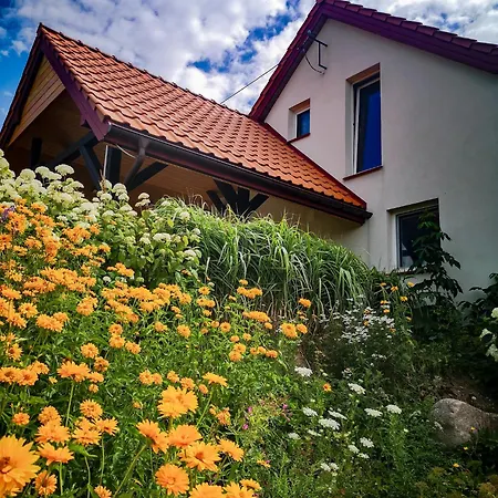 Linowo 10 Country House *
