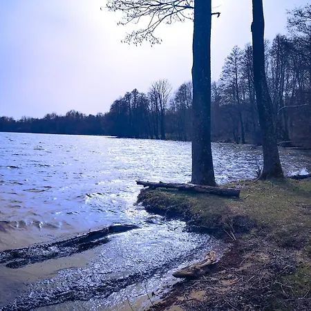 Дом отдыха Linowo 10 Country House *