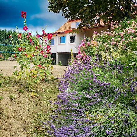 Linowo 10 Country House 펜션 Linowo (Goldap)