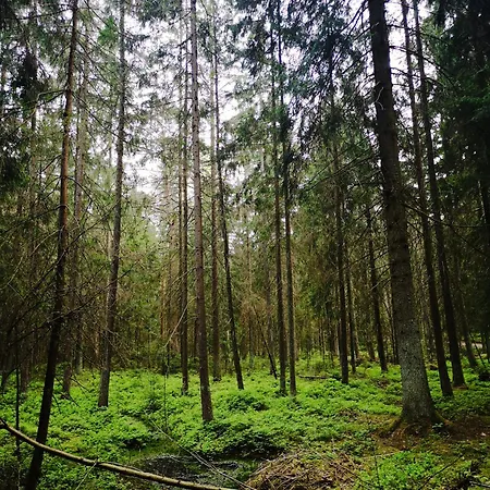 Linowo 10 Country House * Linowo (Goldap)